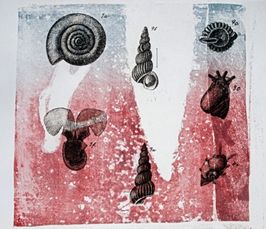  “The Collection”  Combination Lithograph and solar etching with chine collie Image Size 34 x 32  2019